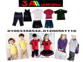 msnaa-yonyform-hdanh-small-0