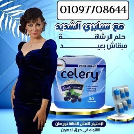 sylry-originalproduct-big-0