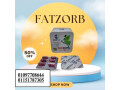 fat-zorb-small-0